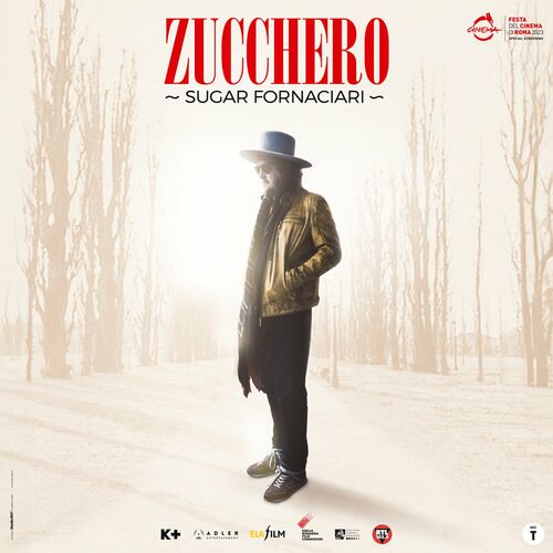 Zucchero